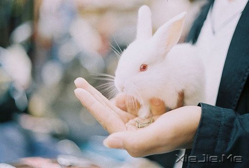 我的朋友很多，可是就算少一个，我还是会舍不得
